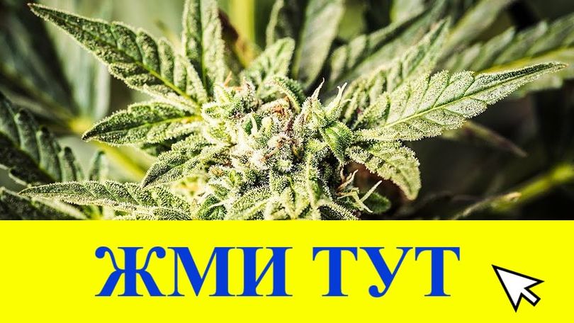 Купить наркотики в Туапсе